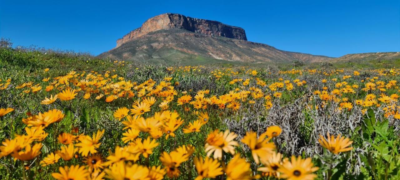 Mountain View Guesthouse Vanrhynsdorp Екстериор снимка