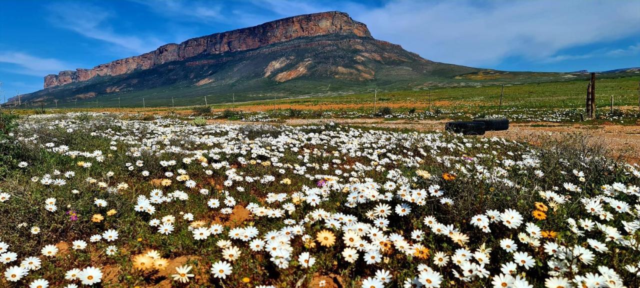 Mountain View Guesthouse Vanrhynsdorp Екстериор снимка