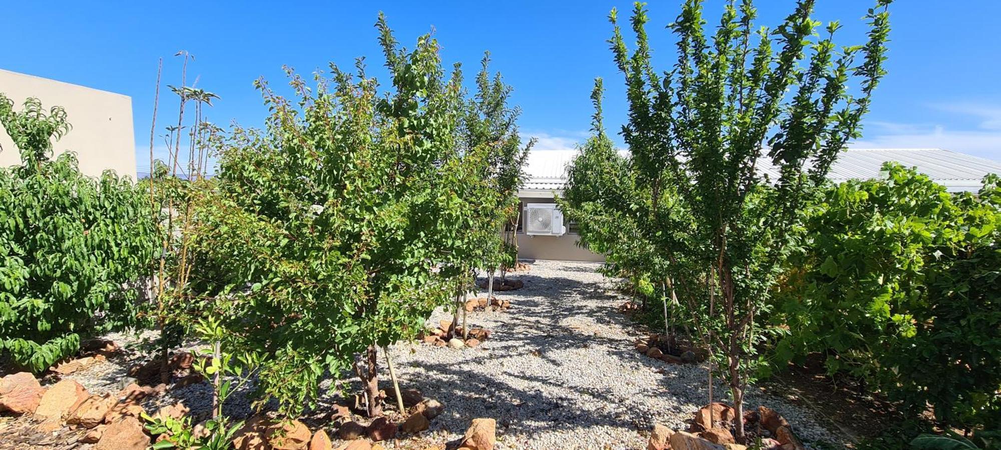 Mountain View Guesthouse Vanrhynsdorp Екстериор снимка